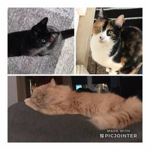 Meet your Posher, Michele